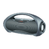 Suspendisse vehicula at dui