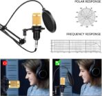 Découvrez la carte son V8 avec micro condensateur et support réglable. Enregistrez un son professionnel dès maintenant !